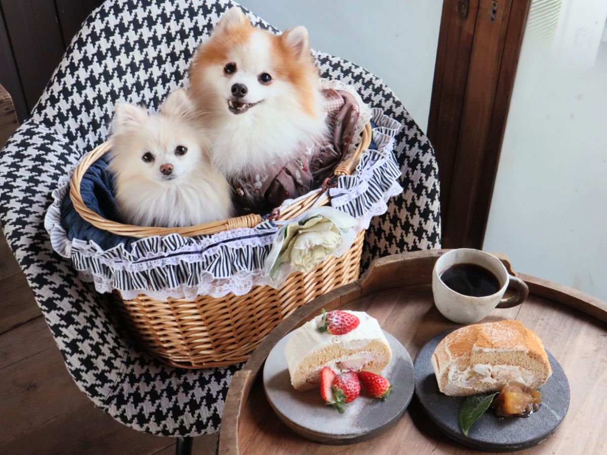 写真 2