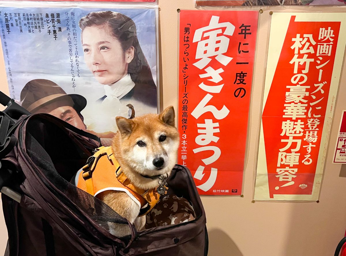 写真 1
