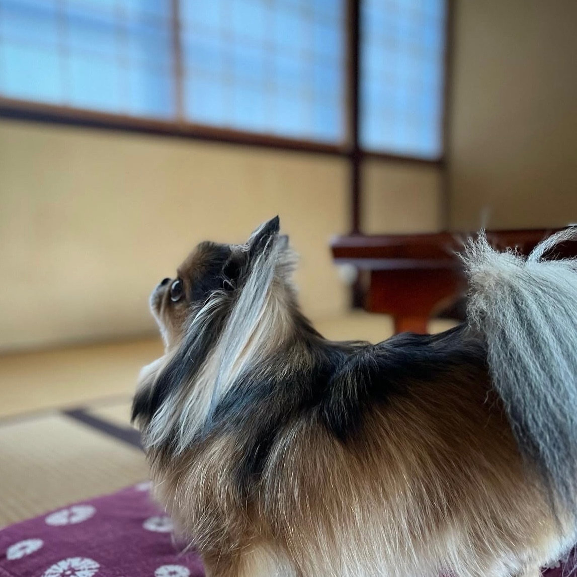 写真 2
