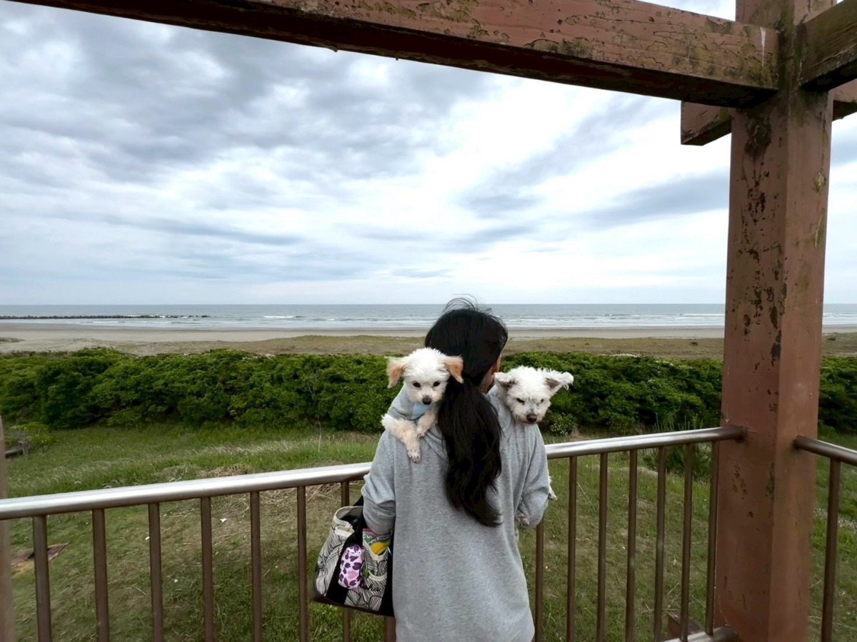 写真 4