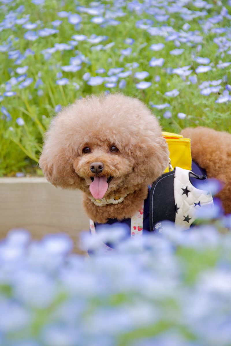 写真 5