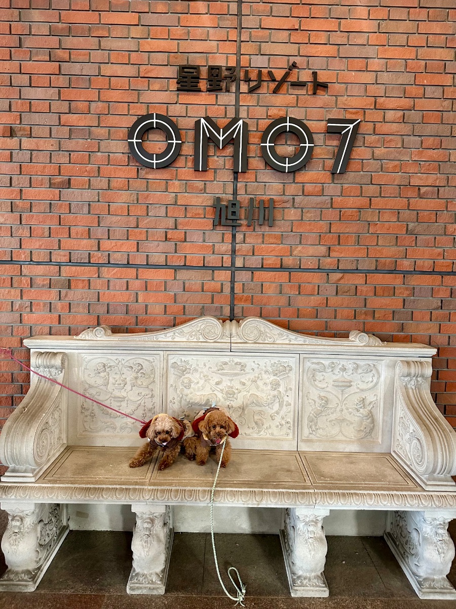 写真 3