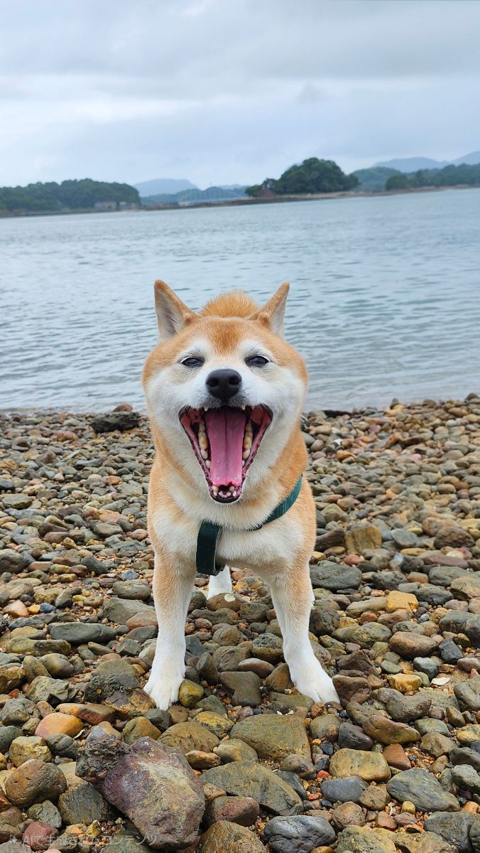 写真 2