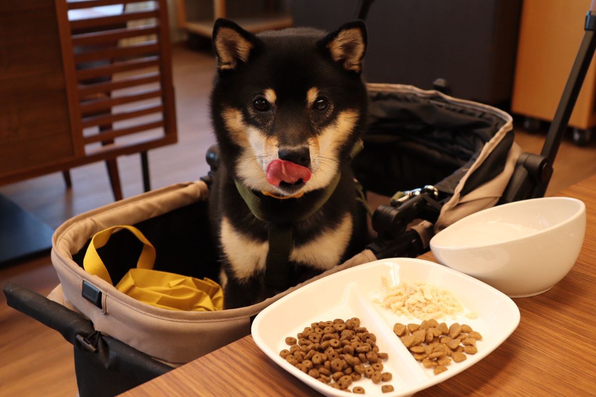 写真 3