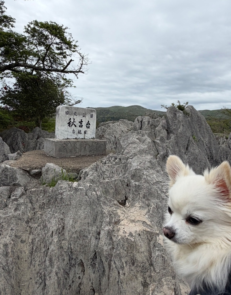 写真 1