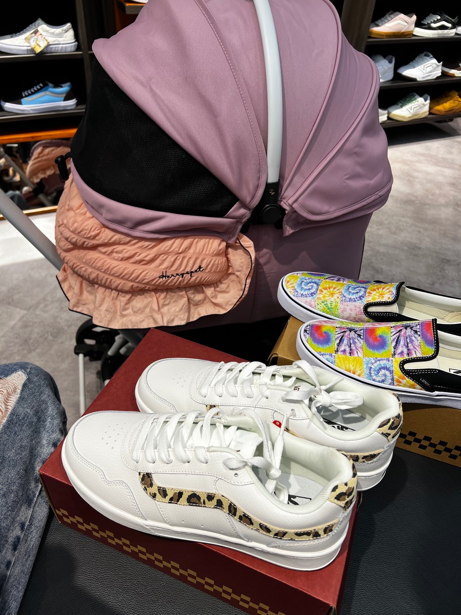 写真 5