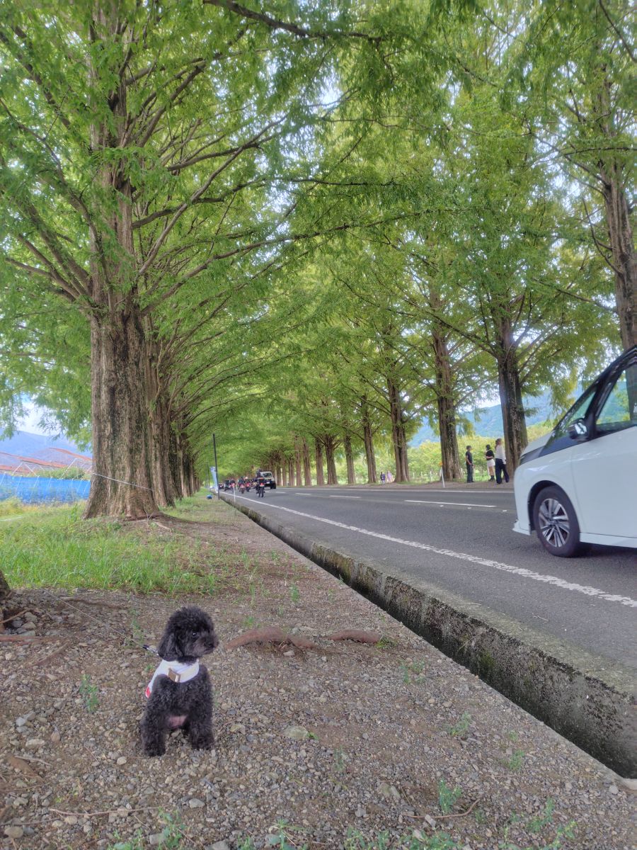 写真 1