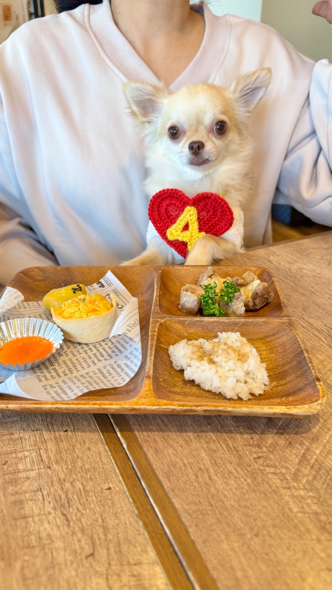 写真 2