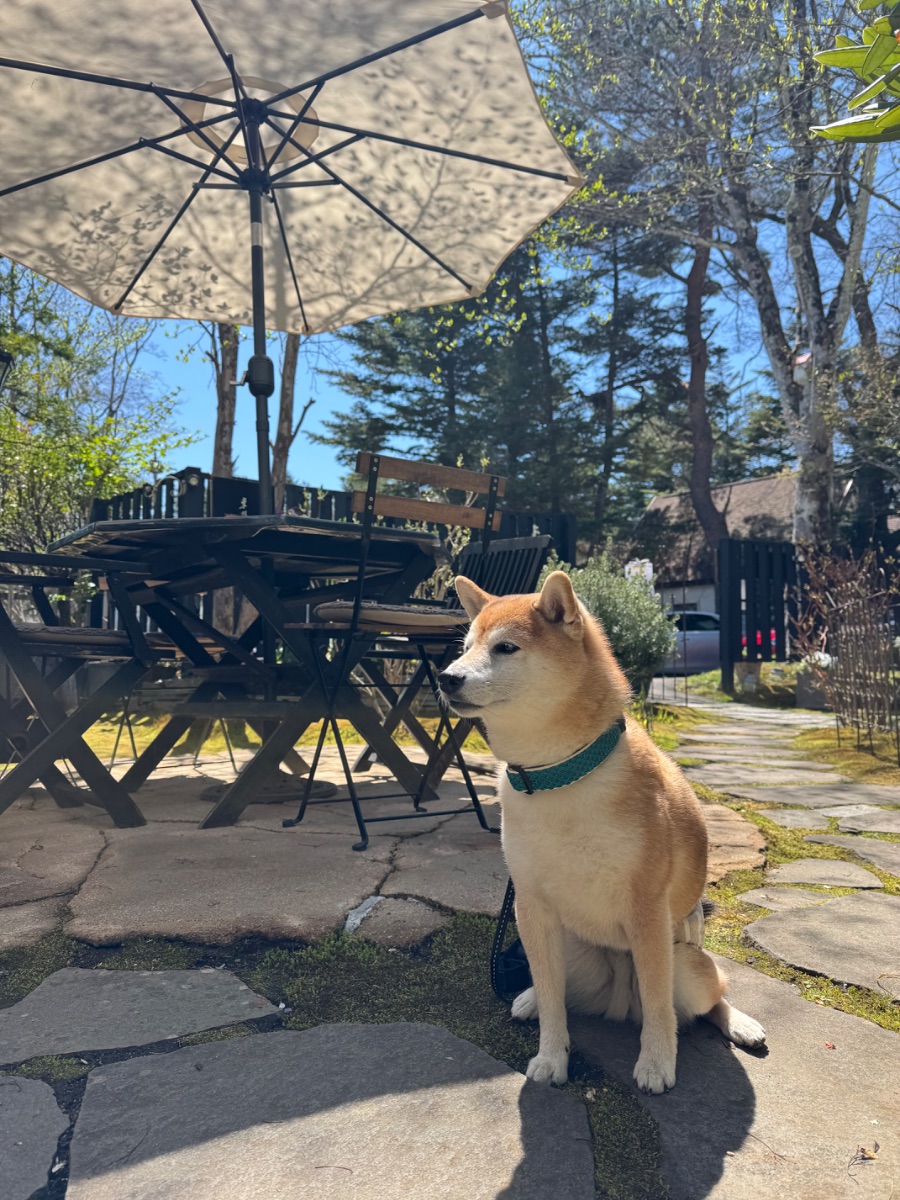 写真 4