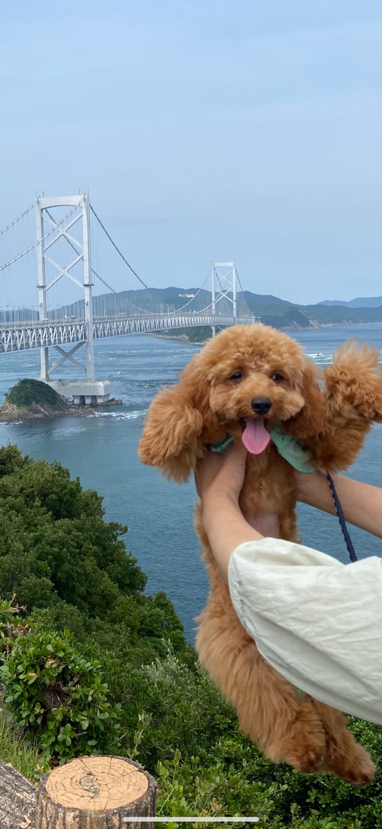 写真 4