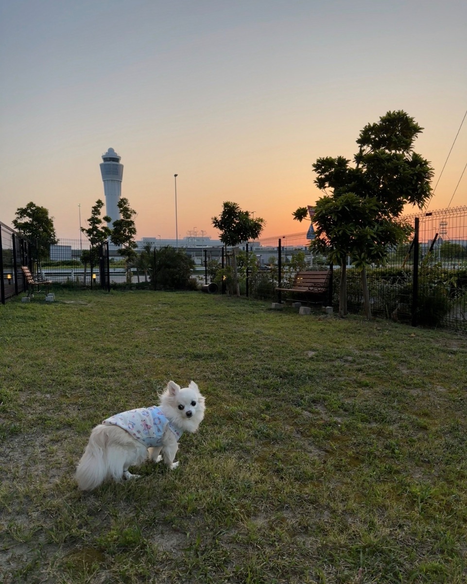 写真 1