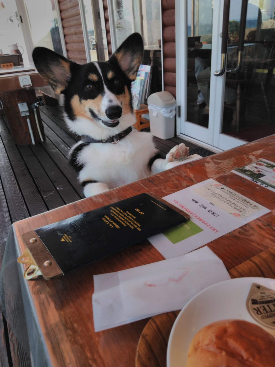 写真 5