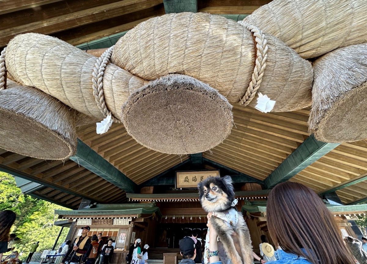 写真 1