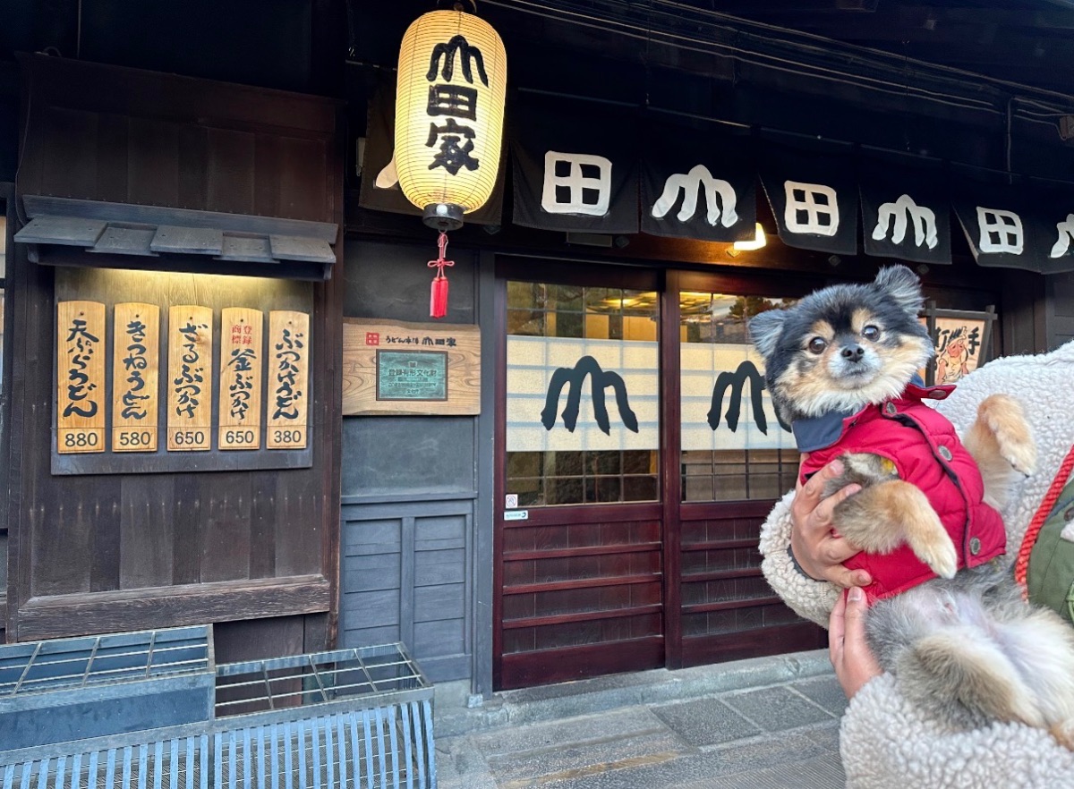 写真 1