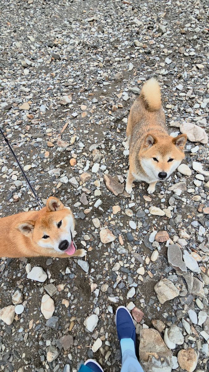 写真 5