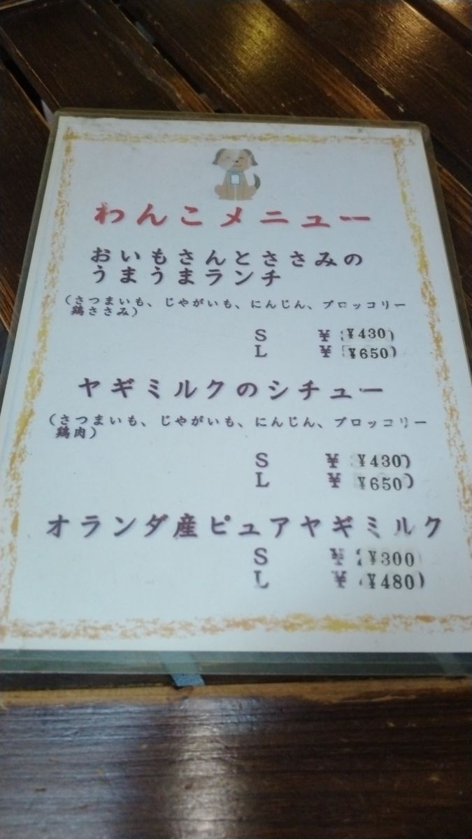 写真 5