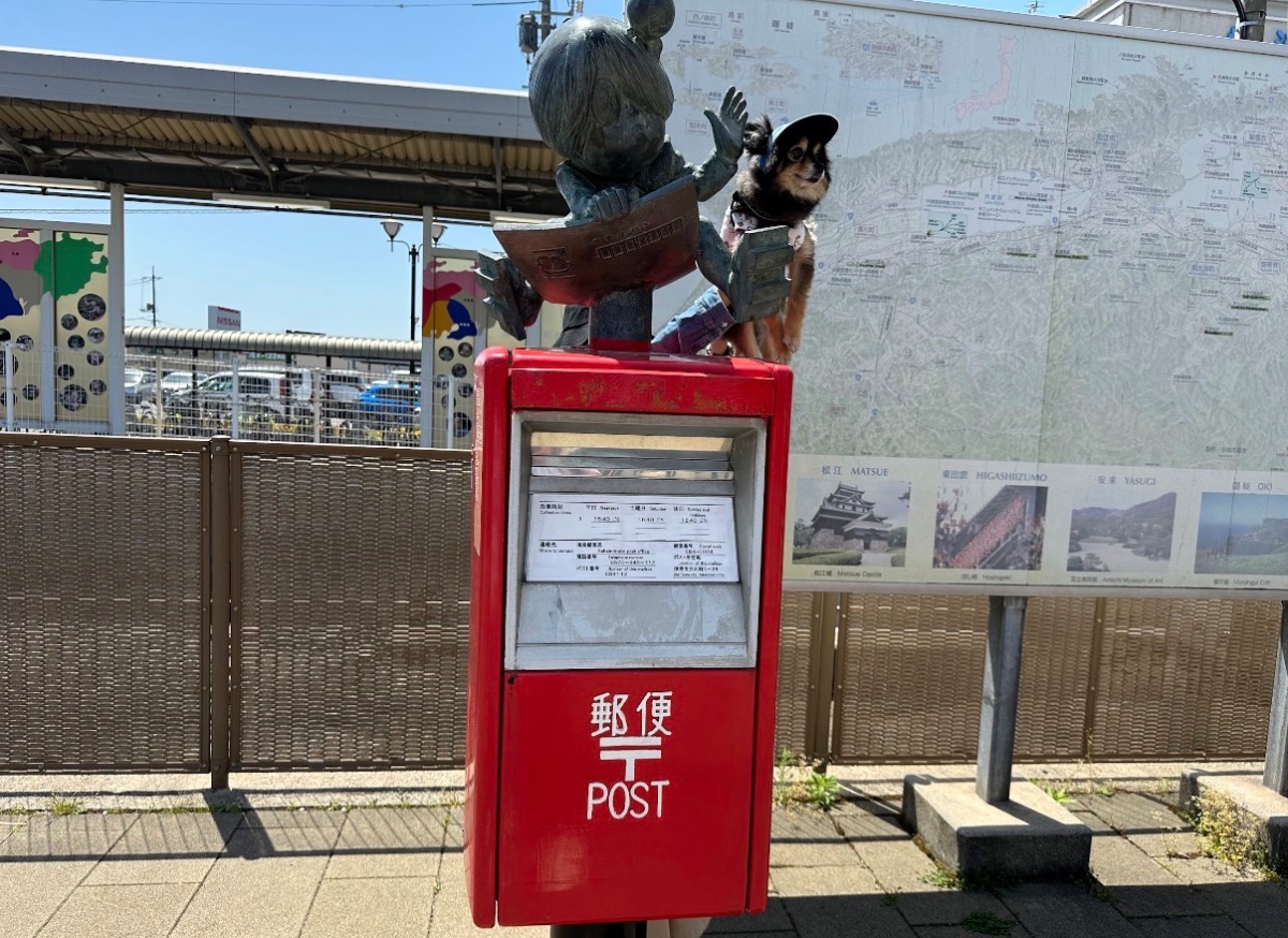 写真 3