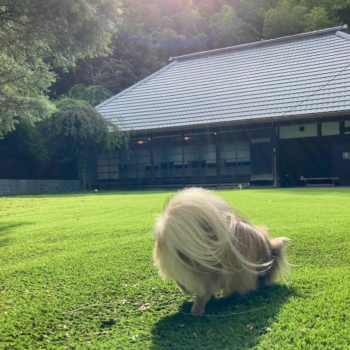 写真 1