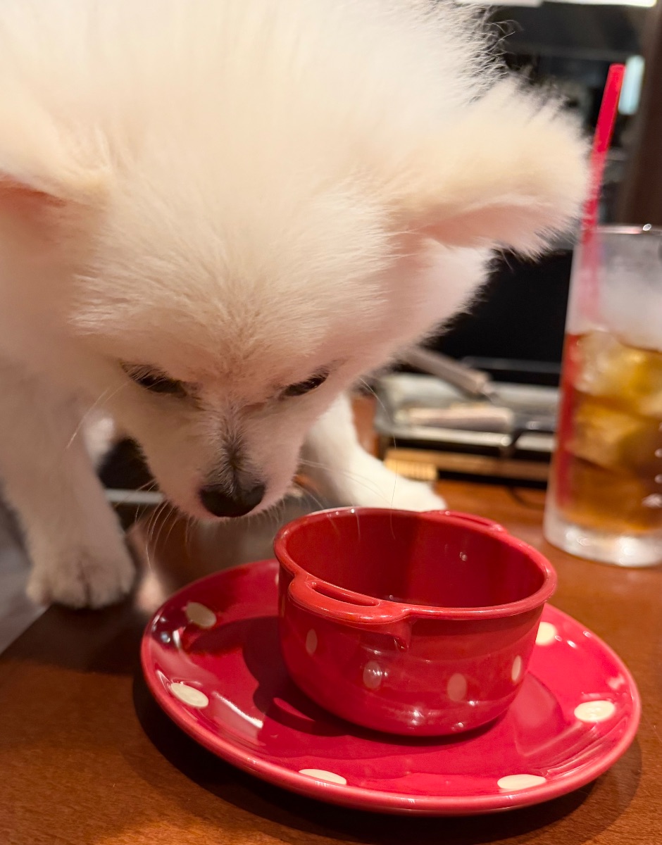 写真 3
