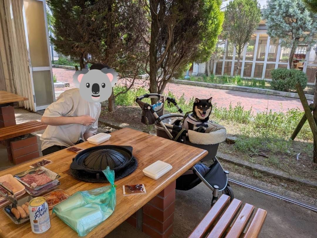 写真 3