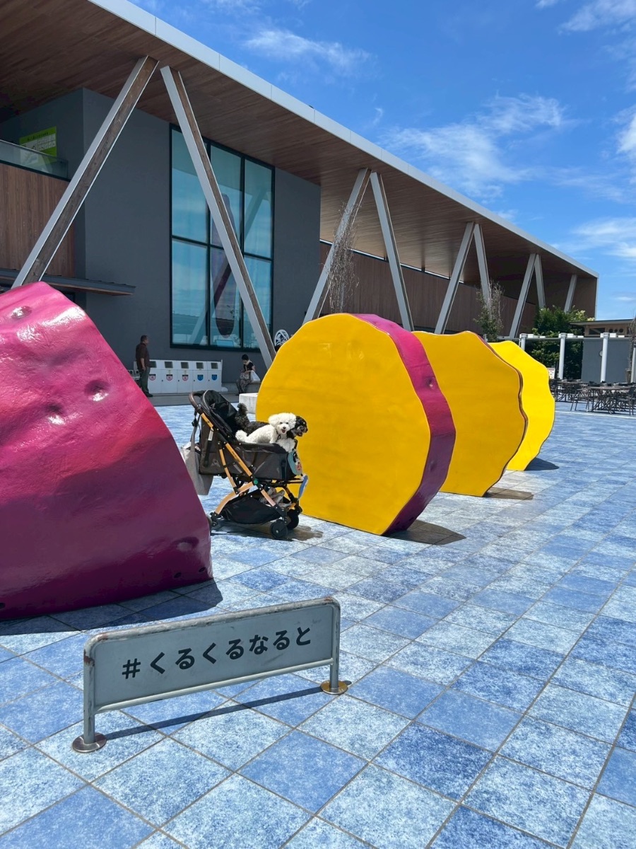 写真 1