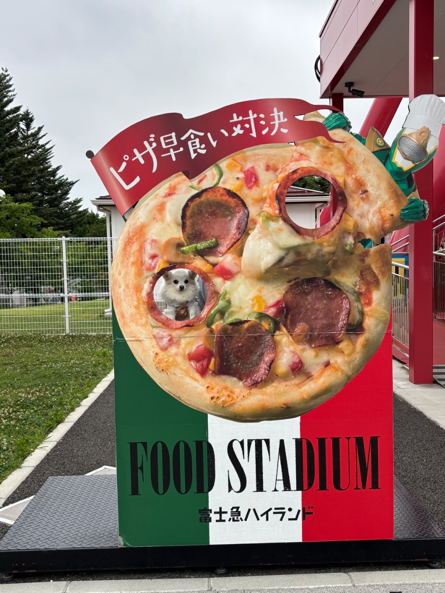 写真 3