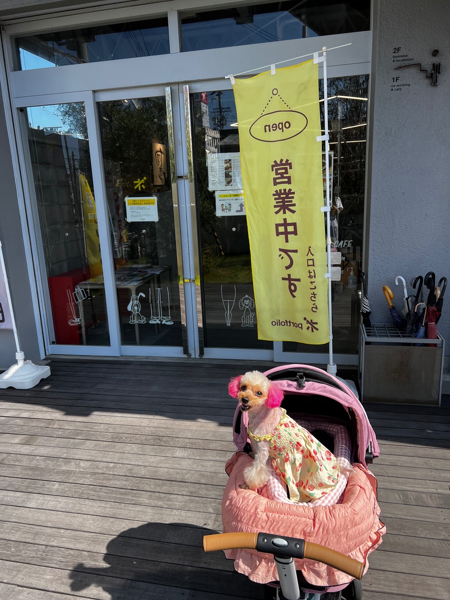 写真 3