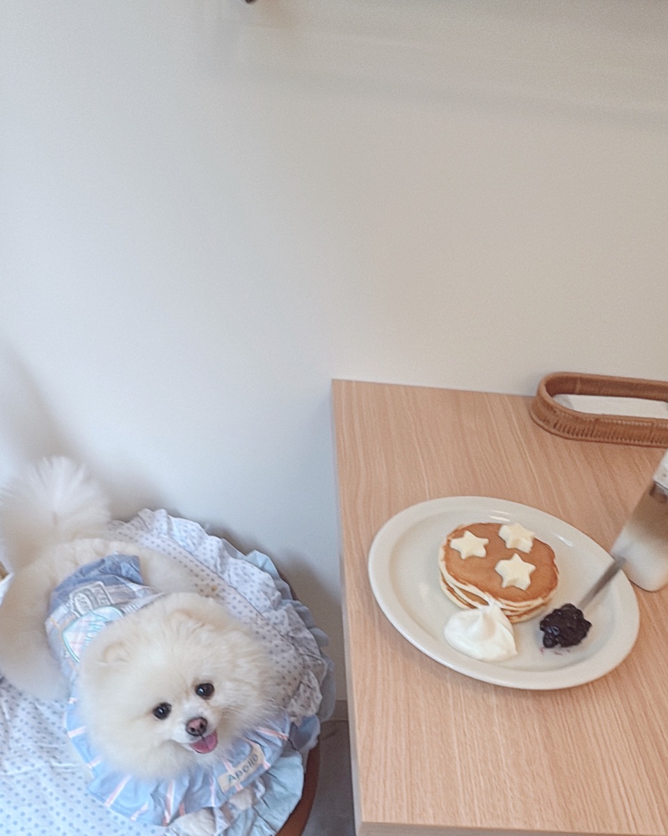 写真 3