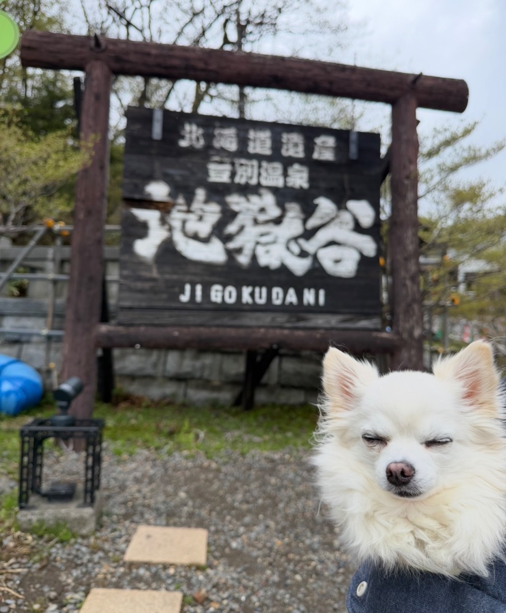 写真 2