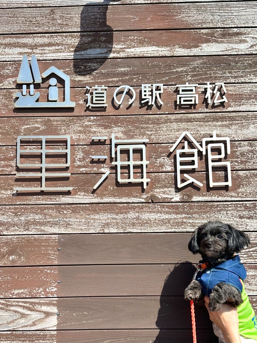 写真 5