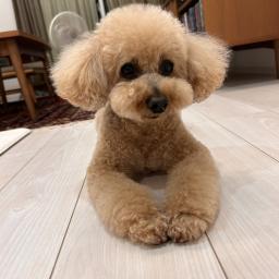 タロサン