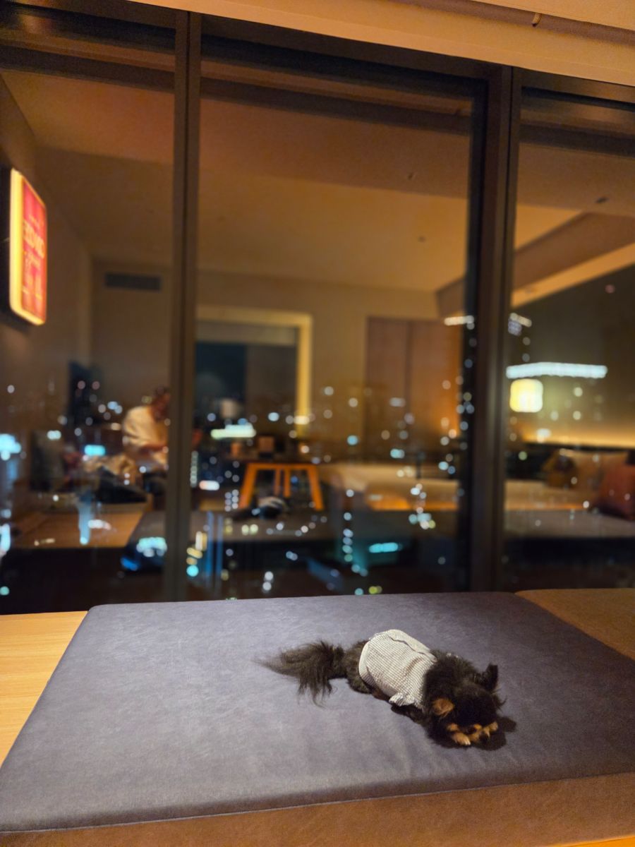 写真 4