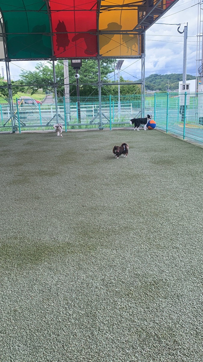 写真 4