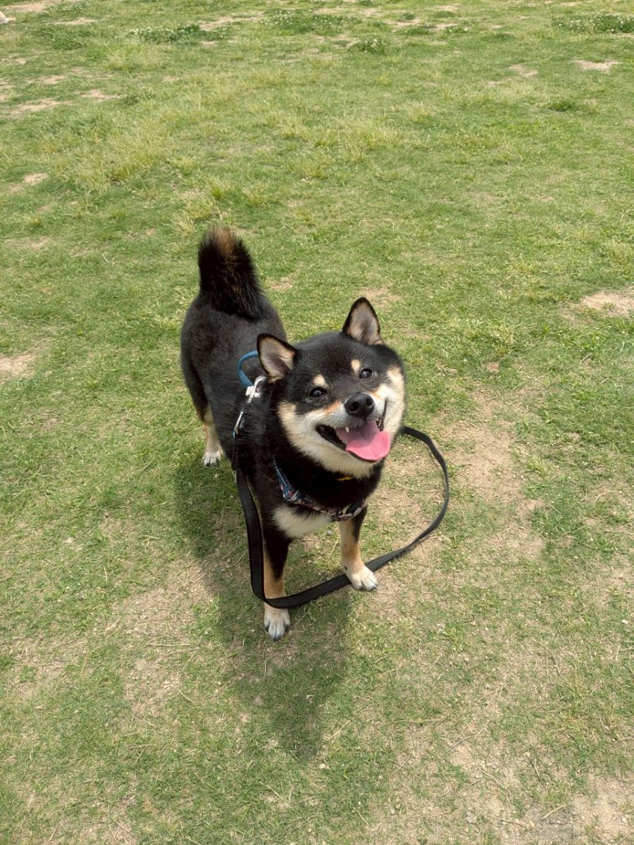 写真 5