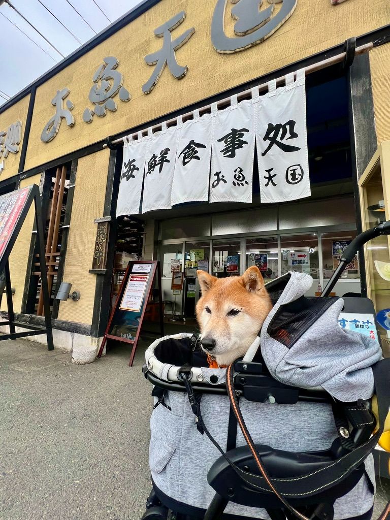 写真 1