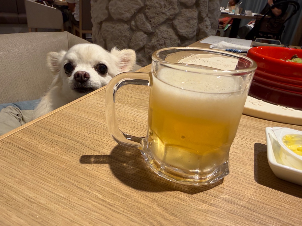 写真 4