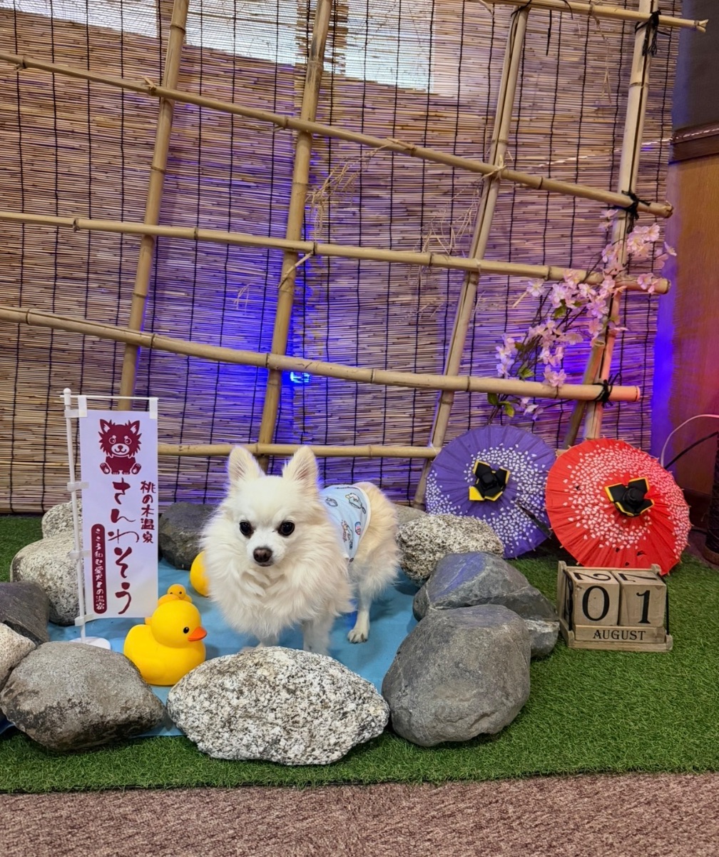 写真 3