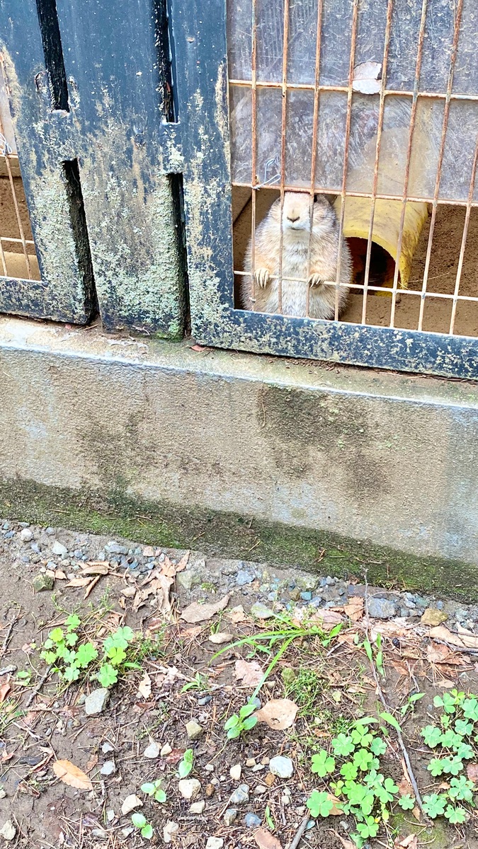 写真 3