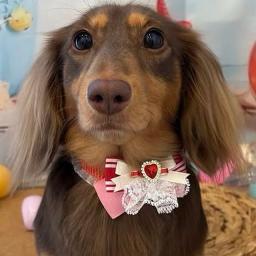 ハモの飼い主♫