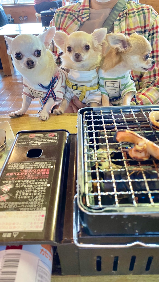 写真 2