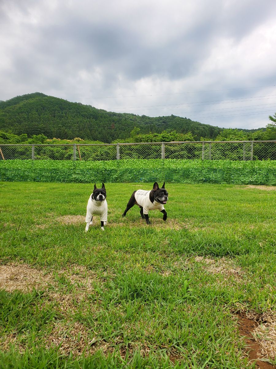 写真 2