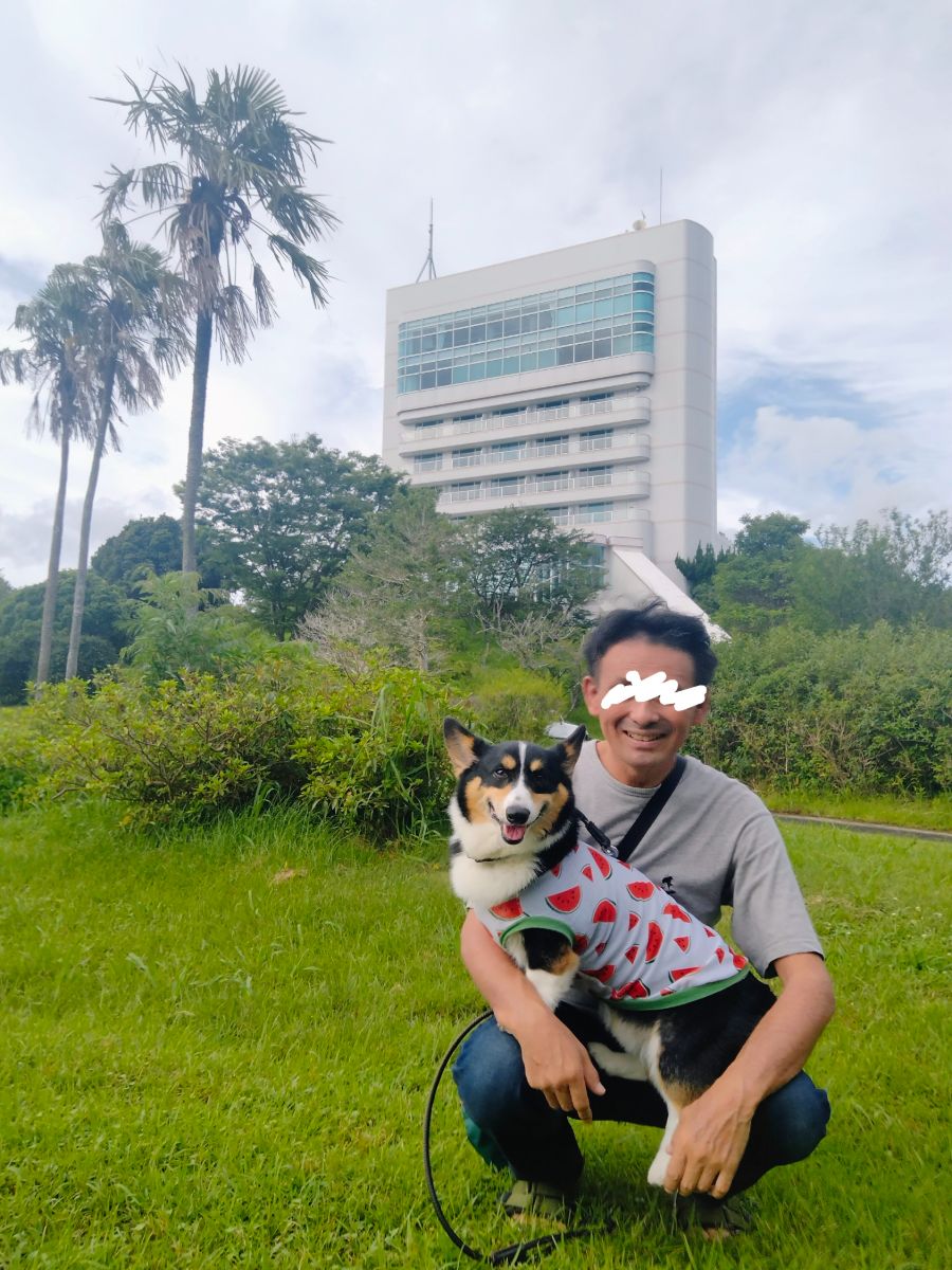 写真 2