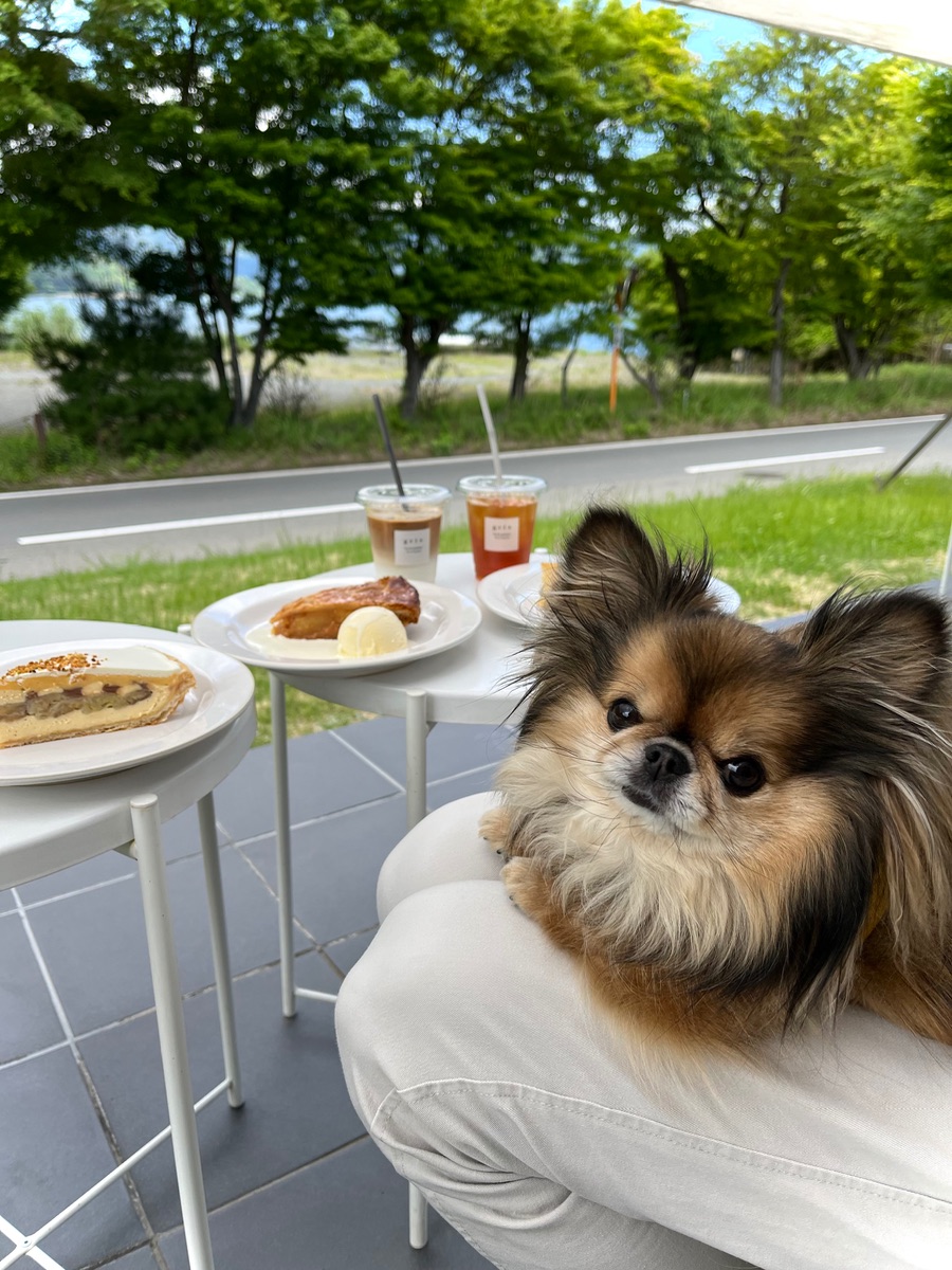 写真 1