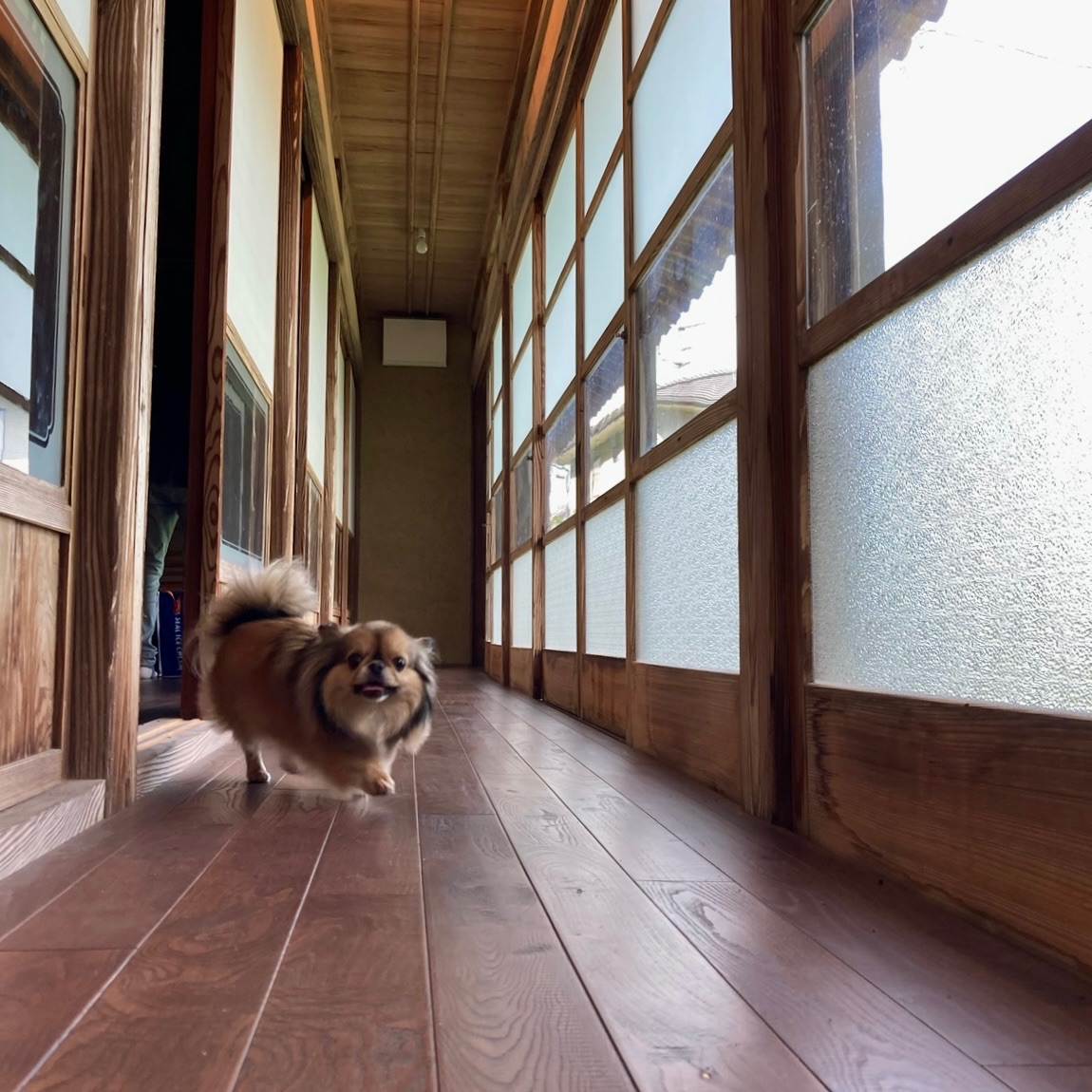 写真 5