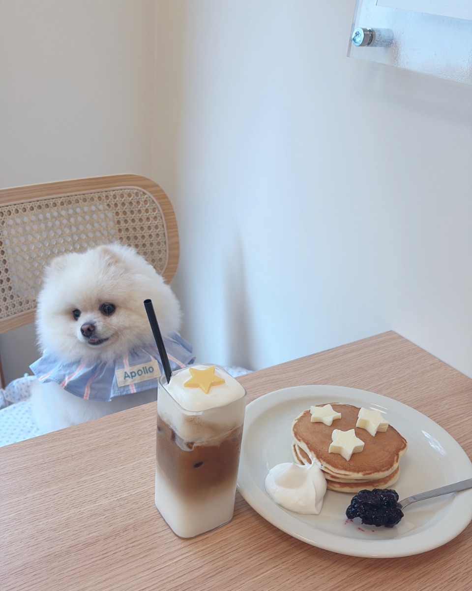 写真 2