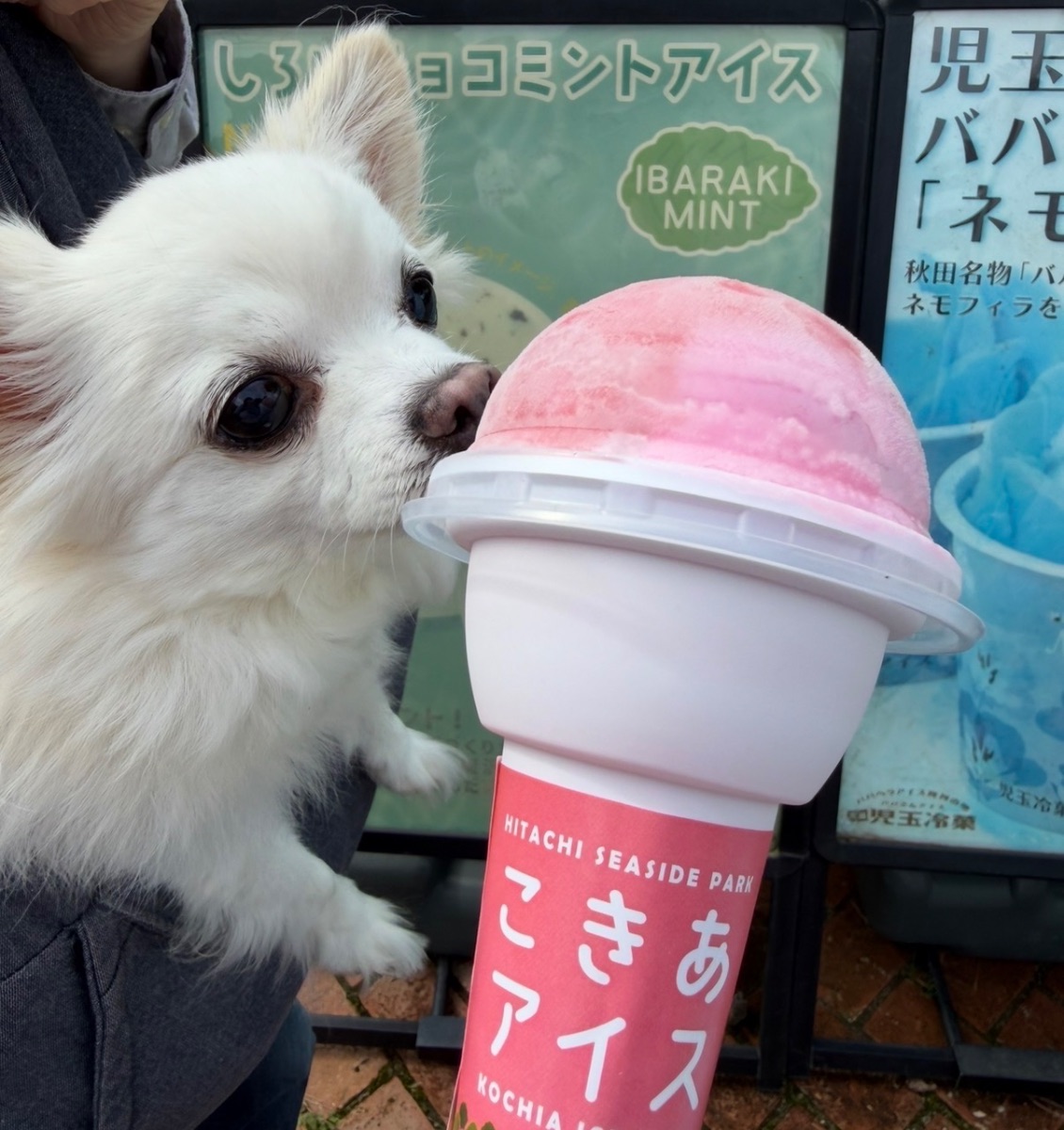 写真 3