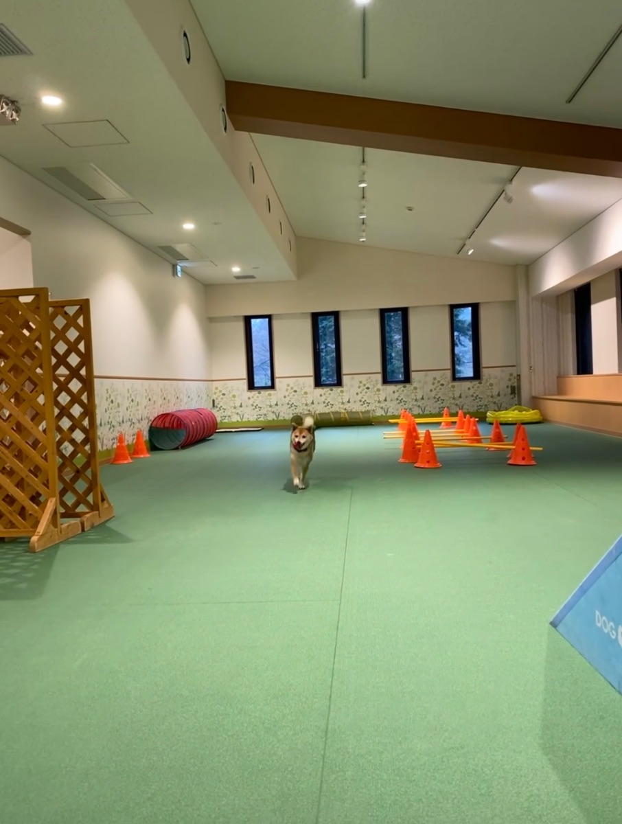 写真 5