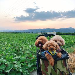 minaのプロフィール画像