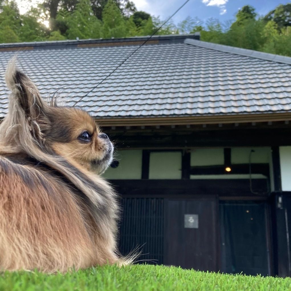 写真 3