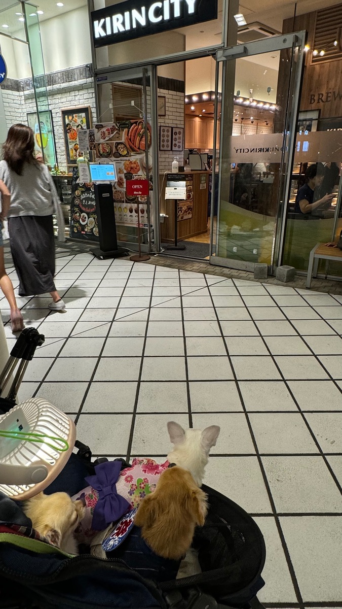 写真 4